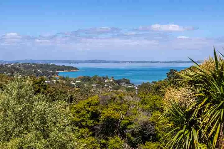 High View Waiheke Amazing views 2