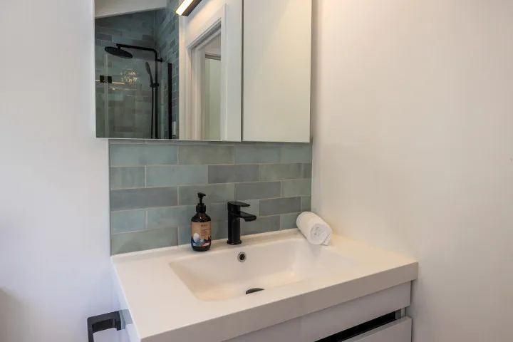 High View Waiheke Family Bathroom Sink