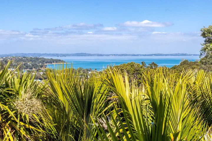 High View Waiheke Views from the deck
