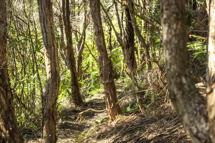 Kaitiaki Lodge WAIHEKE UNLIMITED 11