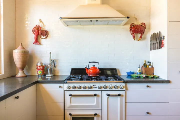 Kotuku Lodge Kitchen 1