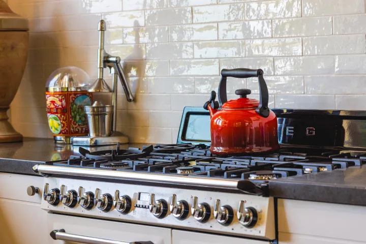 Kotuku Lodge Kitchen 5