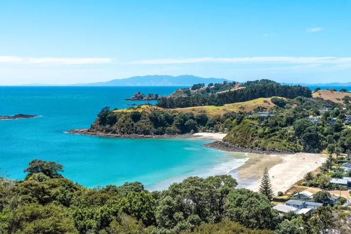 Miro Ridge Palm Beach the best swimming beach on Waiheke