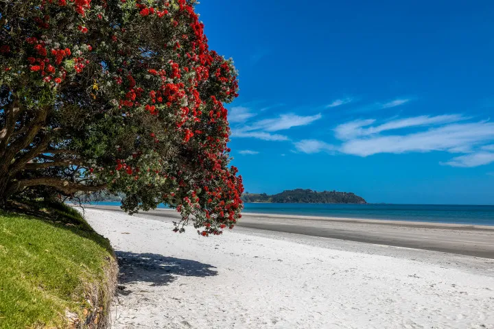 The Residence On The Beach at The Sands Onetangi Beach 2