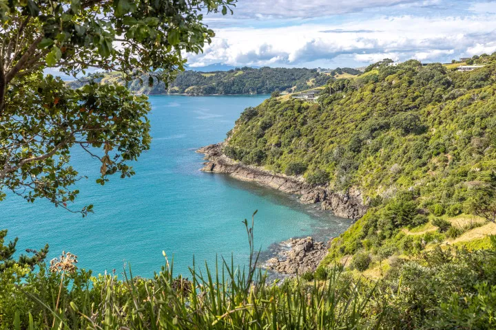 Tidewatch Onetangi Bush Clad Cove View