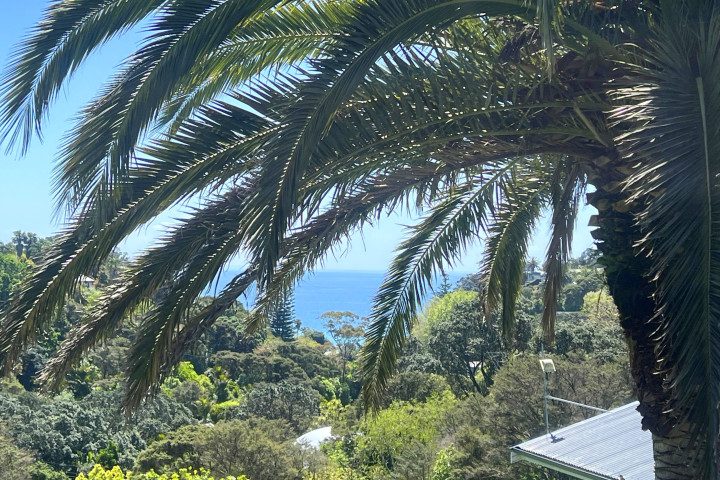 Villa Aqua at Palm Beach Seaviews through the palm trees
