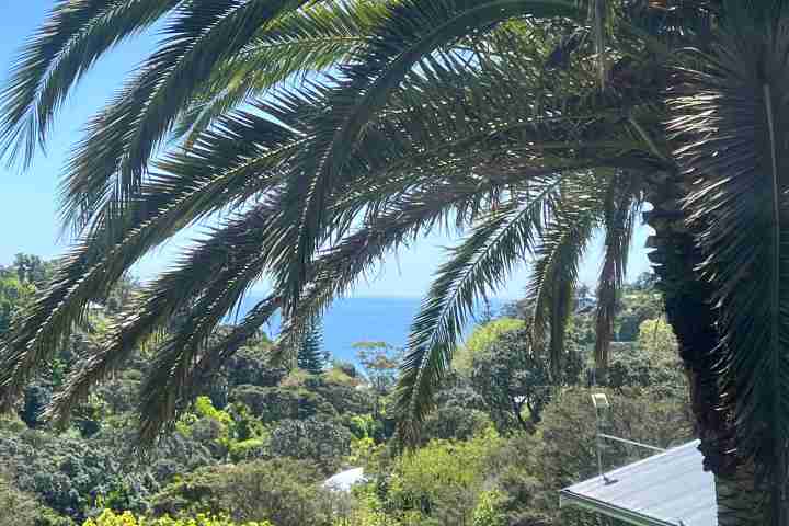 Villa Aqua at Palm Beach Seaviews through the palm trees