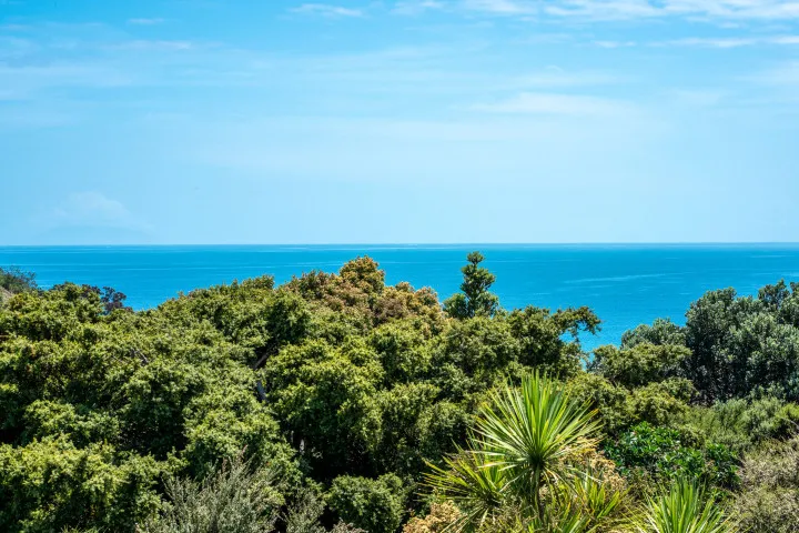 Villa De La Isla Ocean views over the bush