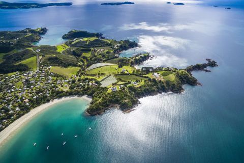 Waiheke Unlimited on Instagram: The feels of summer are here on the motu ☀️ There’s something pretty special about having the warmth back on our shor...