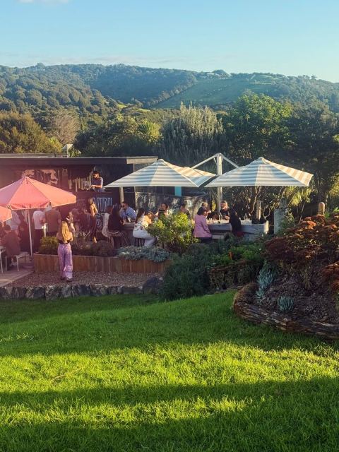 Waiheke Unlimited on Instagram: Waiheke really knows how to do Labour Weekend... Here are your weekend plans sorted... 🪩 Friday, Oct 23rd | @goldiees...