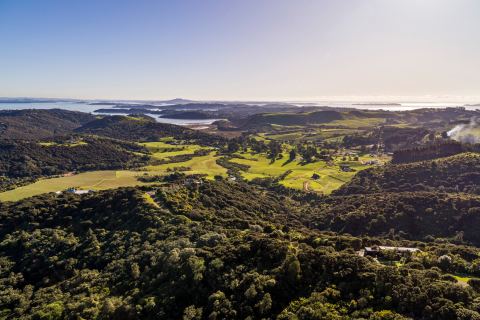 Waiheke Unlimited on Instagram: Waiheke is surrounded by beautiful native bush, with birdsong and native birds sweeping through the treetops. Nothing...